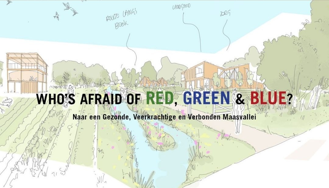 Afbeelding van artikel: We zijn door naar de finale!
